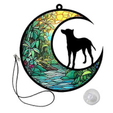 Pendentif décoratif en acrylique représentant un chien sur la lune (lot de 2).