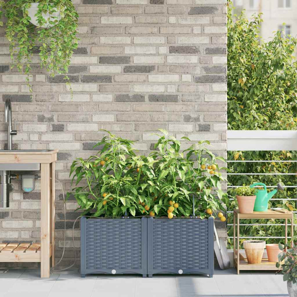 Vidaxl Garden Planter 2 Pcs Light Grey 80 X 40 X 37.5 Cm Plastic