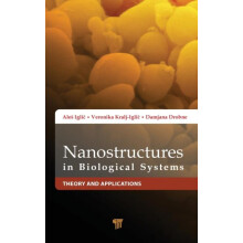 Nanostructures in Biological Systems Theory and Applications by Ale Ig