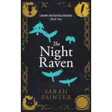 The Night Raven by Sarah Painter Paperback Book