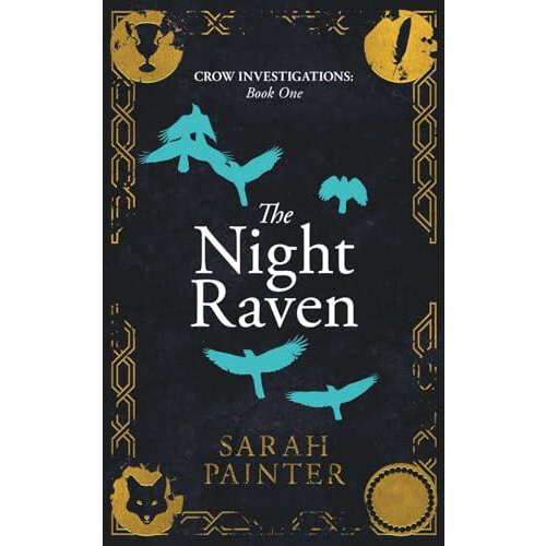 The Night Raven by Sarah Painter Paperback Book