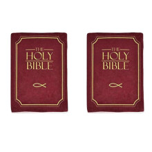 2X Cuscino Biblico con Fede Accogliente - Forma di Libro In Peluche con Versetto Biblico, Regalo Cristiano Perfetto per Bambini e Adulti