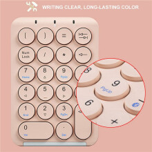 2X Pavé Numérique Sans Fil Clavier Numérique Touches Rondes Pavé Numérique 22 Touches Clavier Numérique Rechargeable (Rose)