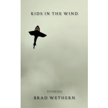 Kids in the Wind by Brad Wethern Paperback Book