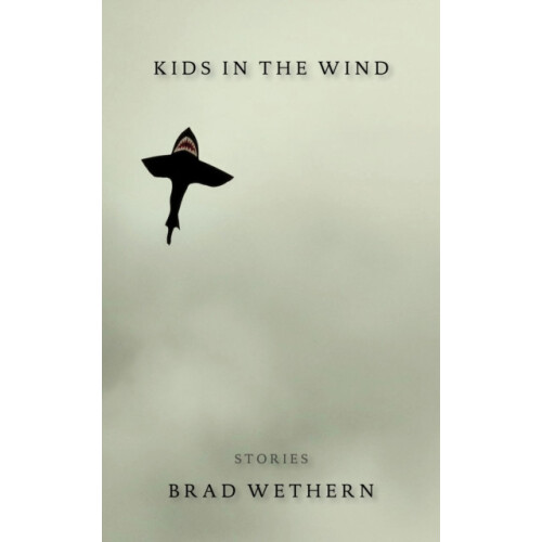 Kids in the Wind by Brad Wethern Paperback Book