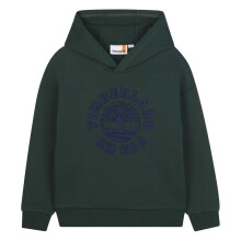 (10 Years, Dark Green) Timberland Childrens/Kids Large Logo Hoodie