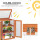 3-Tier Wooden Greenhouse with Storage Shelf 5