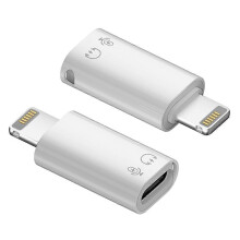 Adaptateur OTG Lightning mâle 8 broches vers USB 3.1 Type-C femelle en alliage d'aluminium - YXY