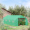 Polytunnel Greenhouse 6x3m with Door & Windows 2