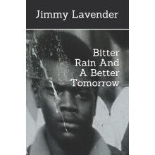Bitter Rain And A Better Tomorrow by Vincent Sepulveda Paperback Book