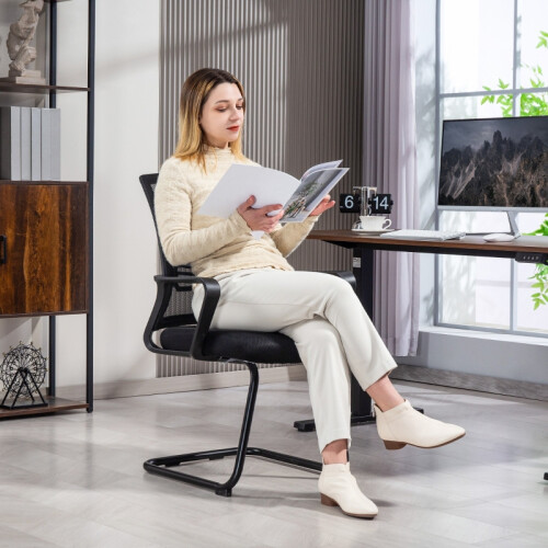 (Black, Mesh) Ergonomic Sled-Base Office Chair, Black 1