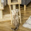 Beige Cat Tree Tower with Hammock & Basket 8