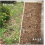 5L Weedex Super Extra Strong Weed Killer 4