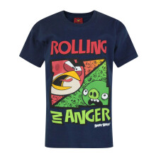 (9-10 Years) Angry Birds Short Sleeved T-Shirt (Boys Blue)