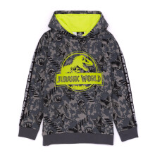 (3-4 Years) Jurassic World Hoodie (Unisex Kids Grey)