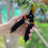 Gartenschere, 8" Profi, Gartenschere, Gartenschere, Gartenschere, Bypass-Gartenschere - YXY 1