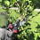 Gartenschere, 8" Profi, Gartenschere, Gartenschere, Gartenschere, Bypass-Gartenschere - YXY 2