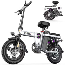 Folding Electric Bike For Commuter 48V 15AH E-Bike 150KG
