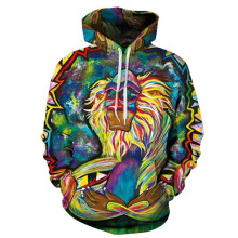 (Style F,M)Fashion Men Women 3d Lion Graphic Print Hoodie Sweatshirt Pullover Coat Top