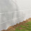 6-Pack 3m Polytunnel Greenhouse w/ Mesh Door 8