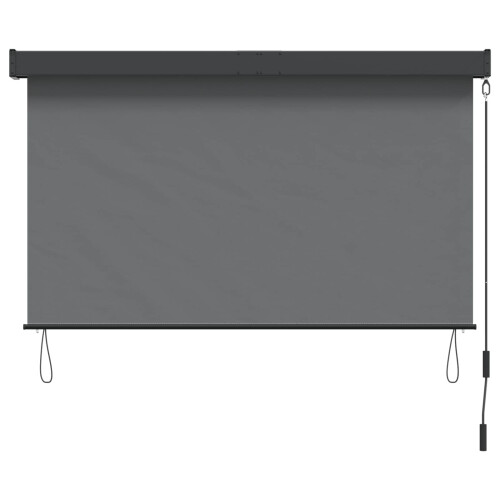 VidaXL vidaXL Rollo Hellgrau 180 x 250 cm Stoff und Aluminium 1