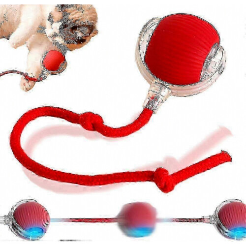 Interactive Dog Ball Toy with Automatic Self Rolling Function for Pets to Play and Exercise Outdoors