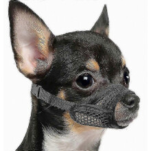 Ademende mesh muilkorf voor honden met een korte snuit, anti-bijtbescherming voor kleine en middelgrote honden, zoals Chihuahua's en Po
