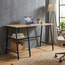 Computer Desk with Shelves for Home Office