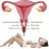 Σετ 3 τεμαχίων από ροζ χαλαζία Yoni Egg, πέτρες Kegel για άσκηση μυών του πυελικού ε 5