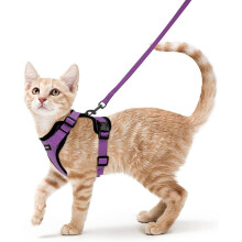 Pettorina per gatti di piccola taglia, viola, antifuga, regolabile, traspirante, con strisce riflettenti e guinzaglio M