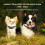 Anti Bark Collar, 3 Training Modes, IP65 Waterproof, Rechargeable, Adjustable Fit for Dogs 4