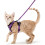 Small Cat Harness, Purple, Escape Proof, Adjustable, Breathable, with Reflective Strips and Leash M 2