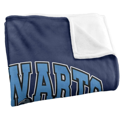 Harry Potter (152cm x 127cm, Multicoloured) Harry Potter Hogwarts Alumni Ravenclaw Throw 2