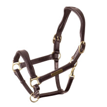 (Pony, Havana) Velociti Rapida Leather Horse Headcollar