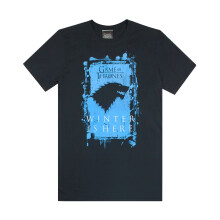 (L, Black) Game of Thrones Mens Winter Is Here T-Shirt
