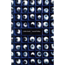 Little Gods by Jacob Polley Paperback Book