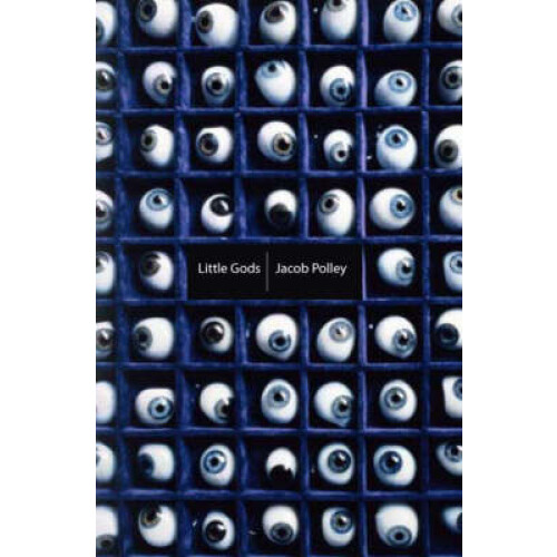 Little Gods by Jacob Polley Paperback Book
