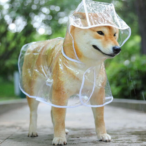 Capa de chuva transparente para cães e filhotes, tamanho XL, com capuz, impermeável e macia.