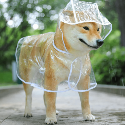 Capa de chuva transparente para cães e filhotes, tamanho XL, com capuz, impermeável e macia. 1