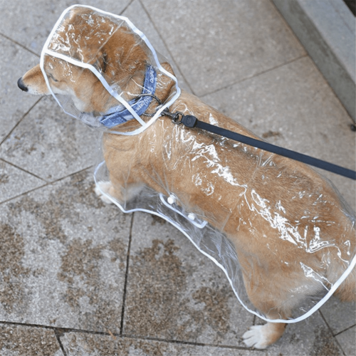 Capa de chuva transparente para cães e filhotes, tamanho XL, com capuz, impermeável e macia. 2