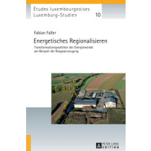 Energetisches Regionalisieren Transformationspraktiken der Energiewend