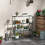 Four-Tier Steel Plant Shelf - Black 2