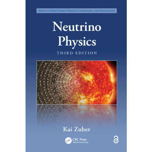 Neutrino Physics by Kai Zuber Paperback Book