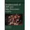 Fundamentals of Oop and Data Structures in Java by Richard Wiener Hard 1