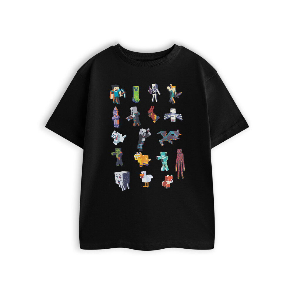 Minecraft (9-10 Years) Short Sleeved T-Shirt (Boys Black)