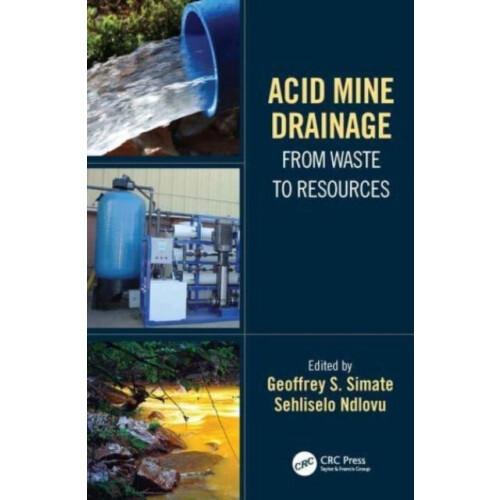 Acid Mine Drainage From Waste to Resources Paperback Book