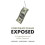 Corporate Fraud Exposed Paperback Book 1