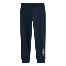 (12 Years, Navy) Tommy Hilfiger Childrens/Kids Slim Joggers