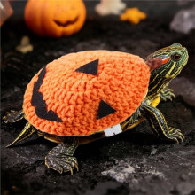 Halloween Pumpa Sköldpadda Kläder Rolig Husdjurs Sköldpaddskostym Söt Varm Outfit för Vattenlevande och Landlevande Sköldpaddor
