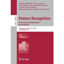 Pattern Recognition. ICPR International Workshops and Challenges Virtu